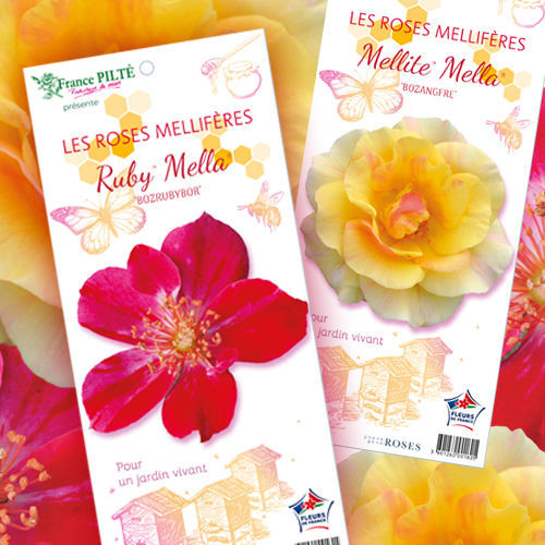 Mauryflor
