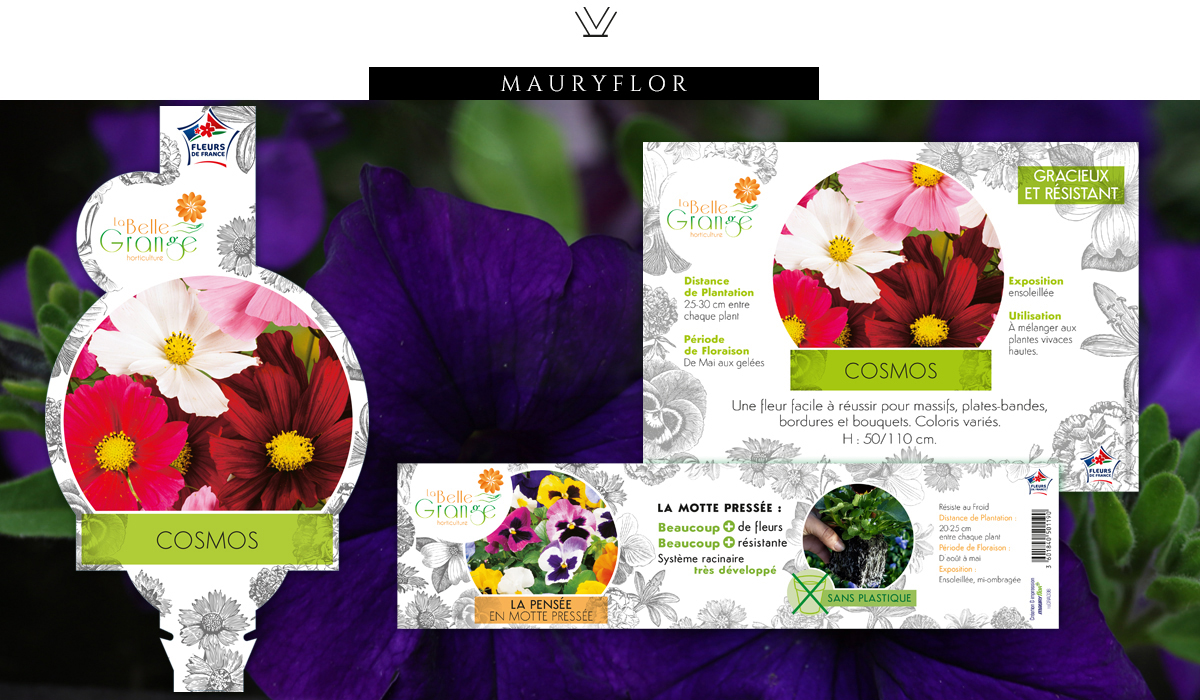Mauryflor